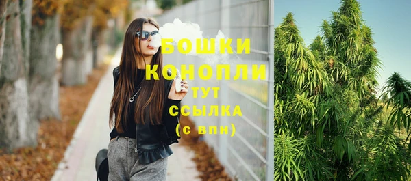 стаф Кинешма